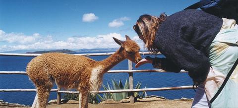 Day Cruise La Paz to Puno by Catamaran and buses Peru
